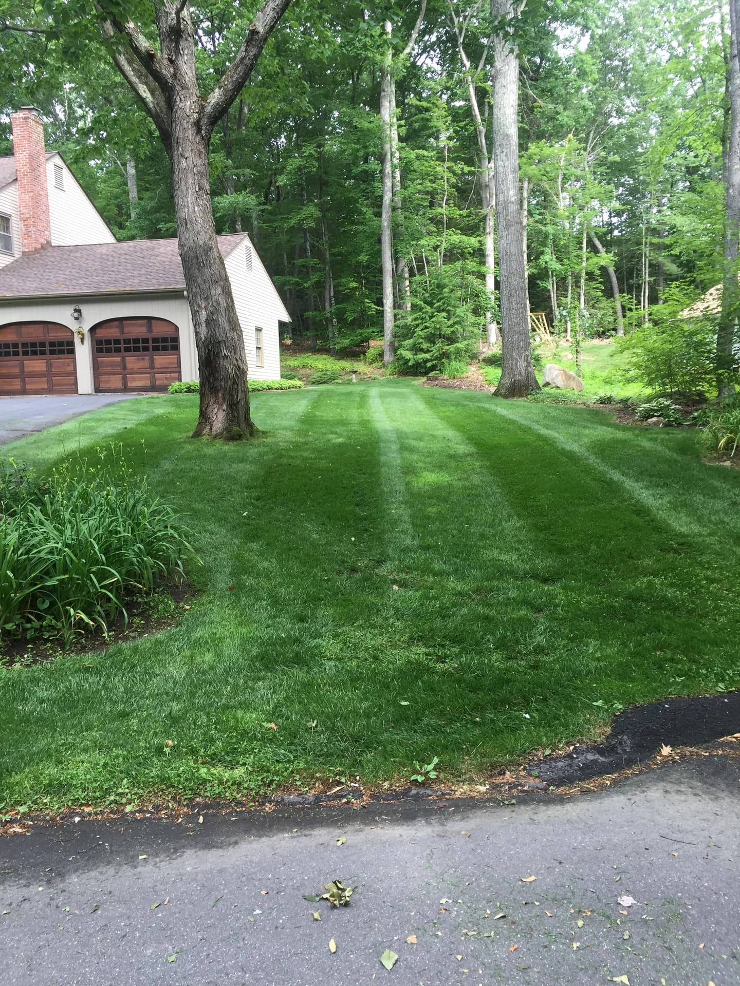 Landscaping project photo