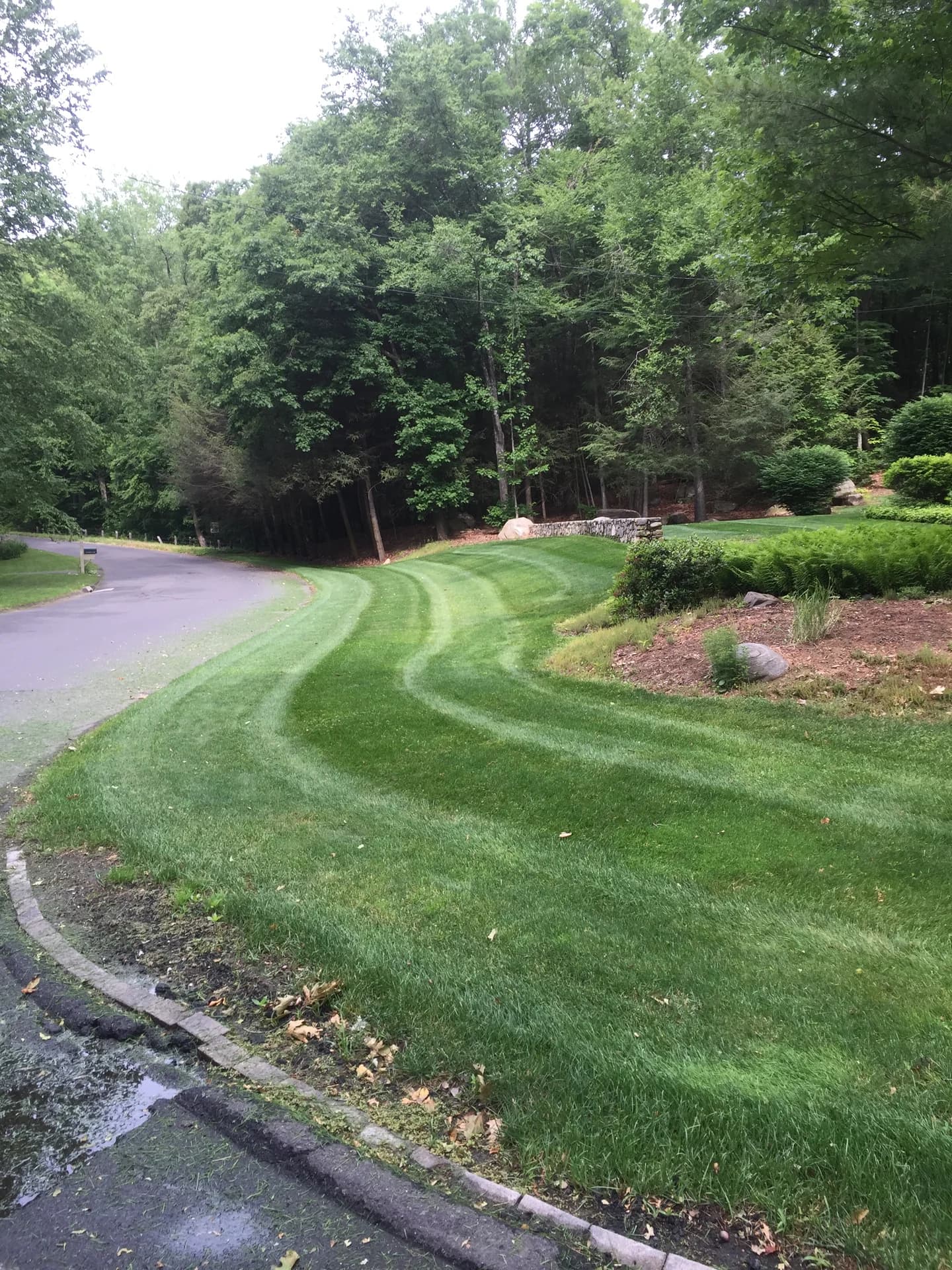 Landscaping project photo