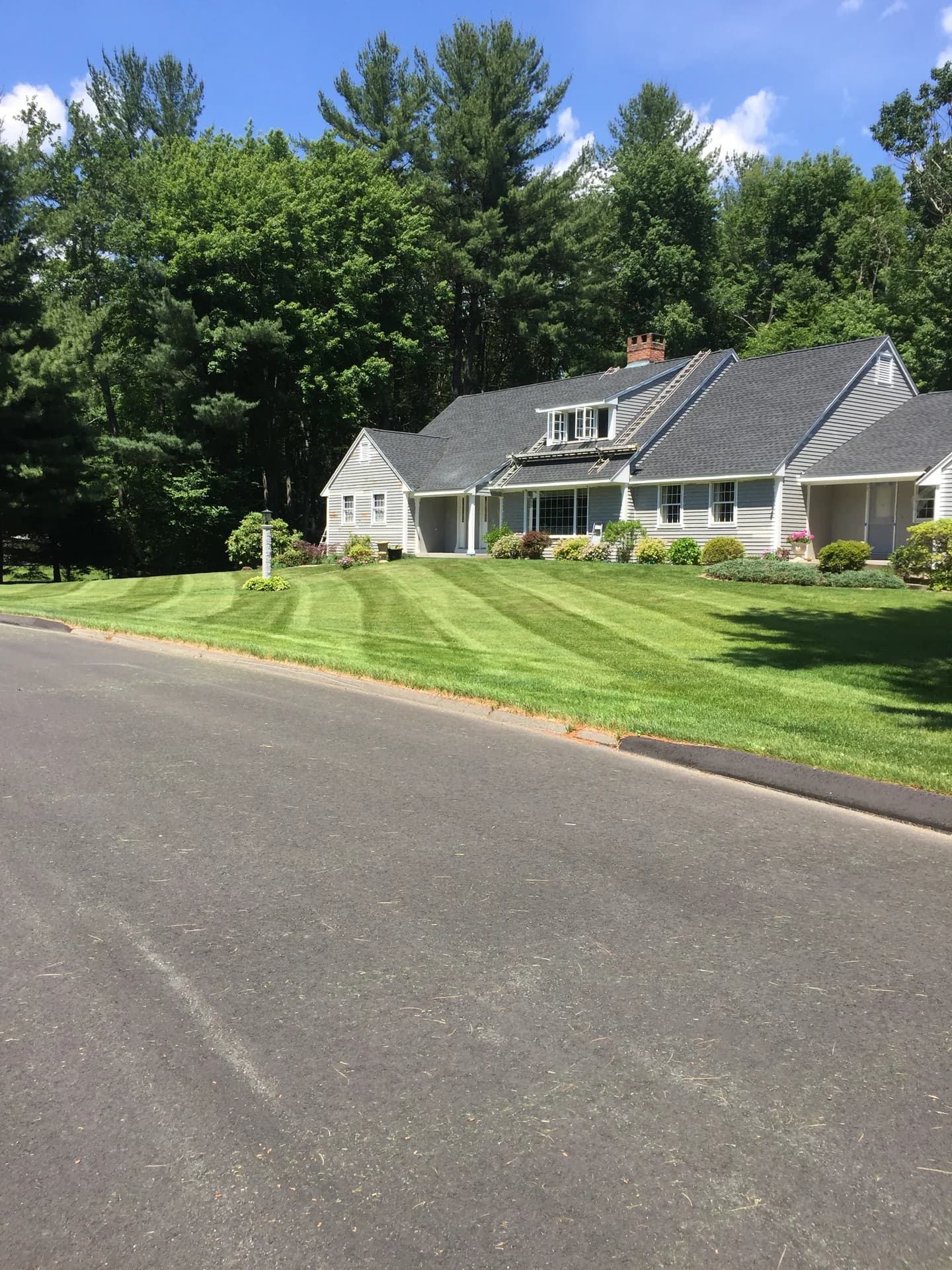 Landscaping project photo