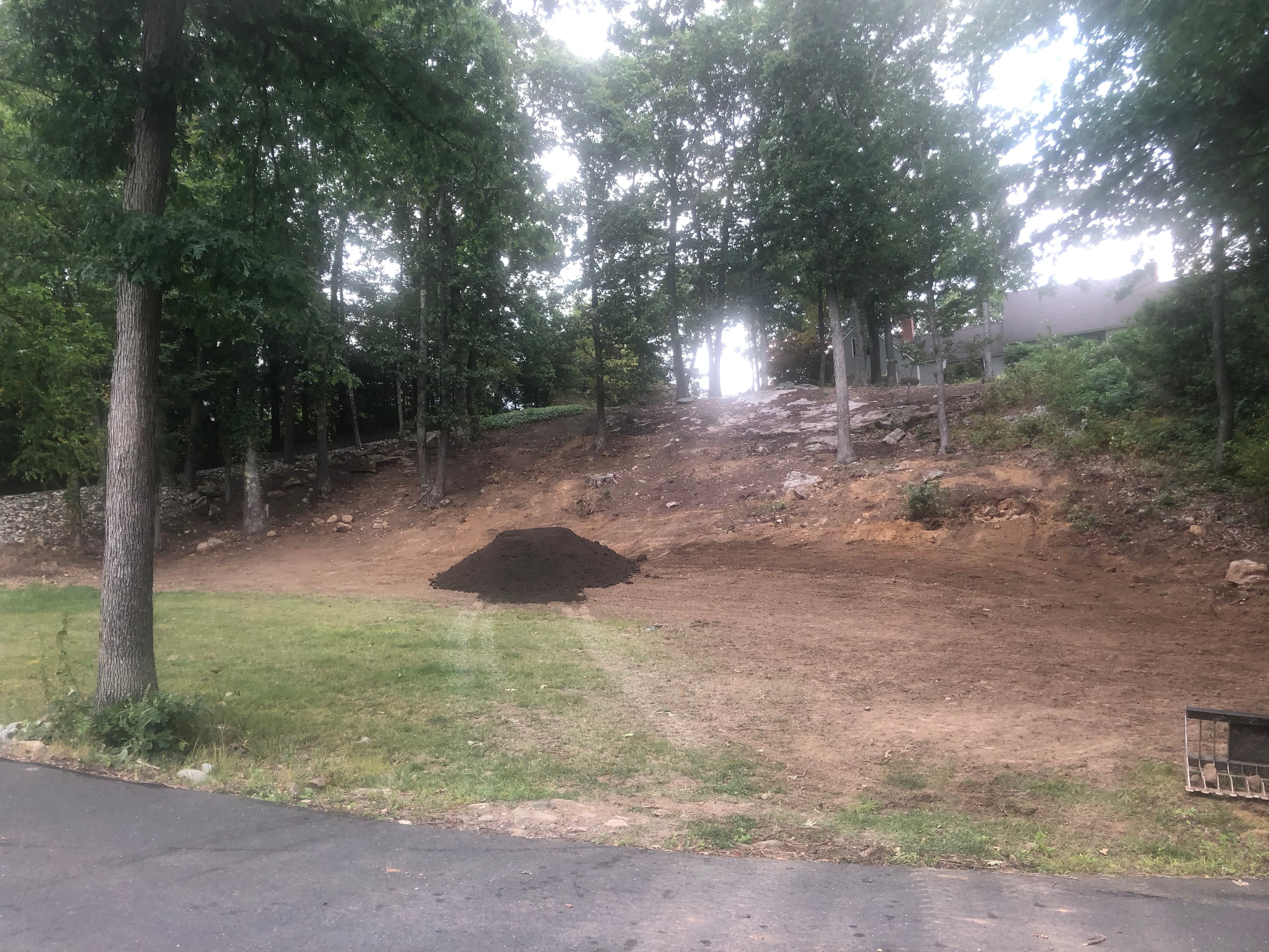 Landscaping project photo