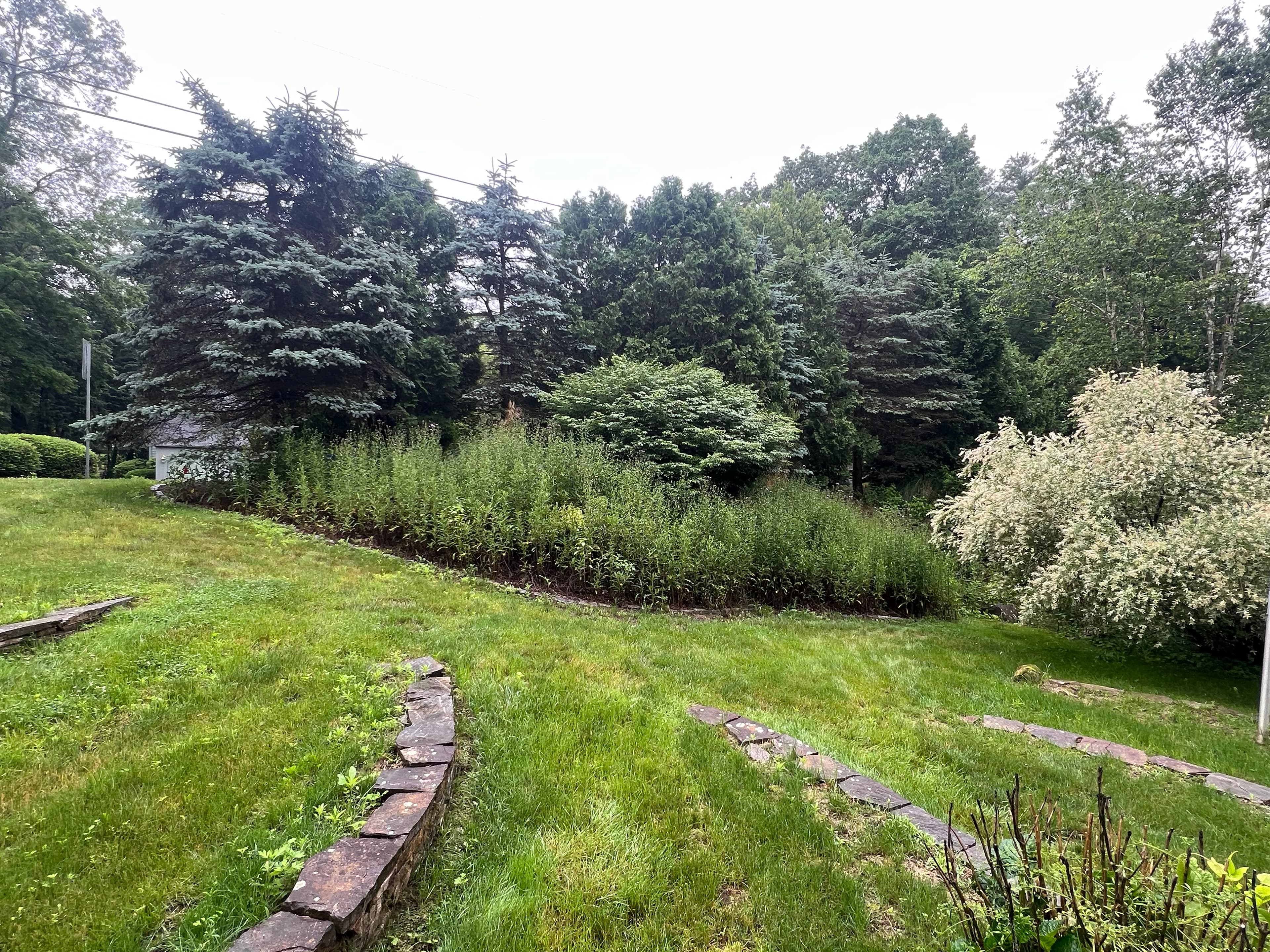 Landscaping project photo