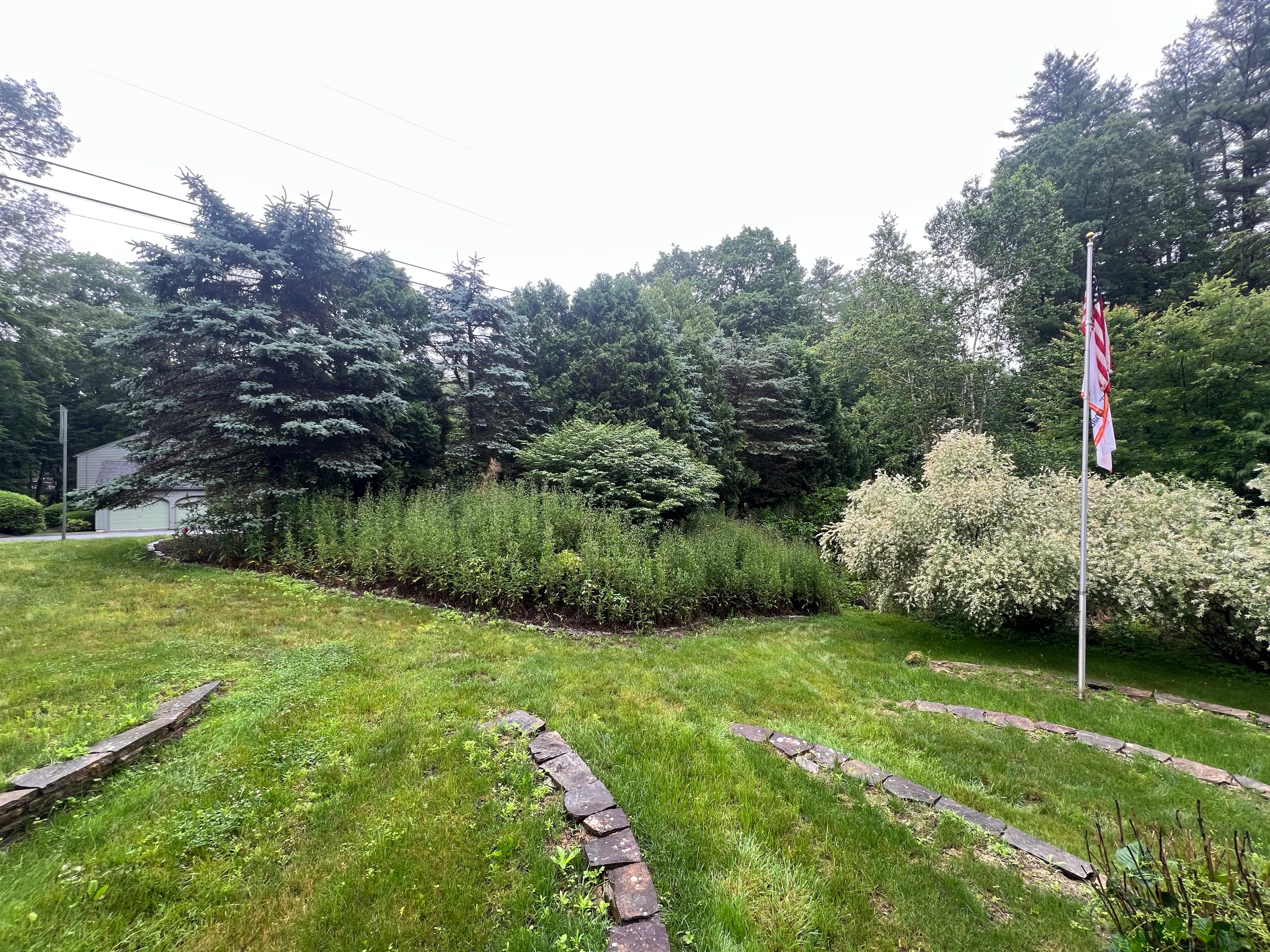 Landscaping project photo