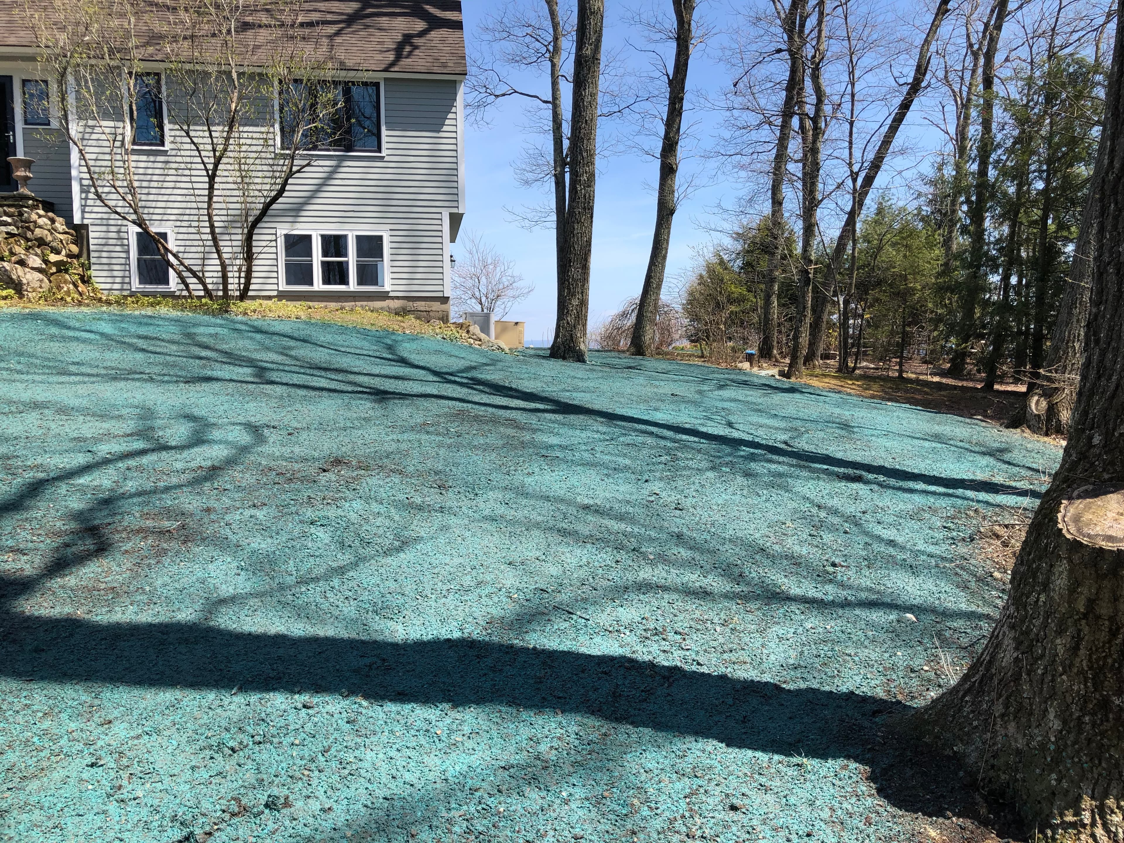 Landscaping project photo